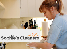 Domestic Cleaners SW19