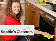 Oven Cleaning SW19