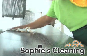 Cleaning Services Wimbledon