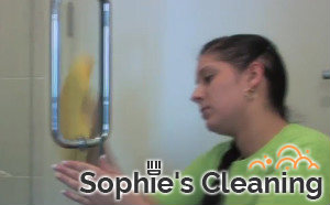 Professional Cleaner