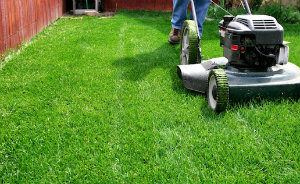 Lawn Care SW19