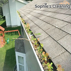 reliable-gutter-cleaning-wimbledon